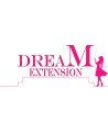 Dream Extension